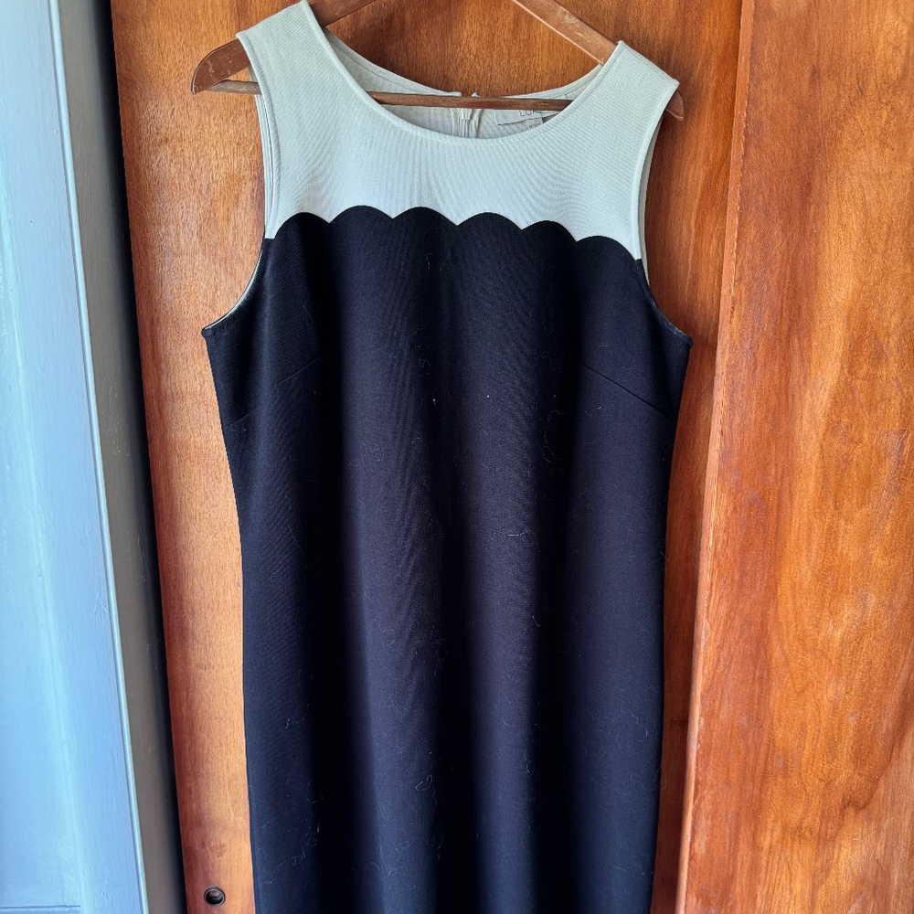 Anne Taylor Loft Dress Scalloped Hem 14